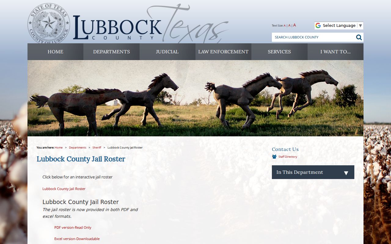 Lubbock County arrest lookup jail roster formats