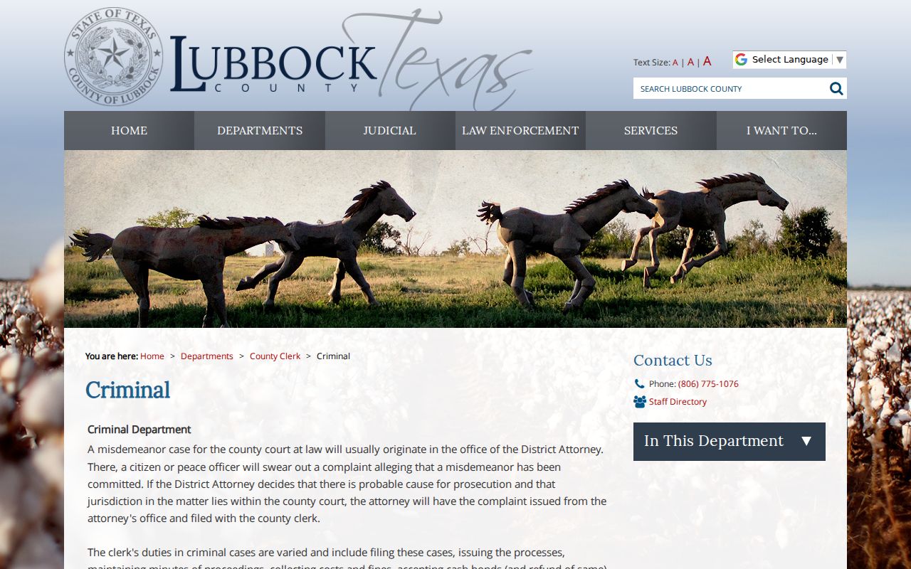 Lubbock County criminal court case misdemeanor copy instructions