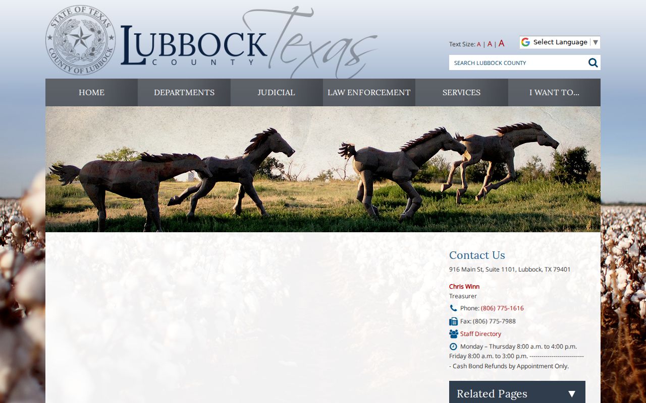 Lubbock County criminal court case District Clerk records page