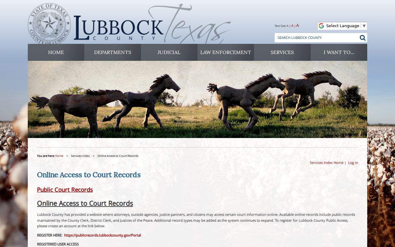Lubbock County criminal case access instructions